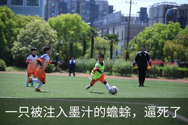 一只被注入墨汁的蟾蜍，逼死了“第二个达尔文”，让他背负百年骂名