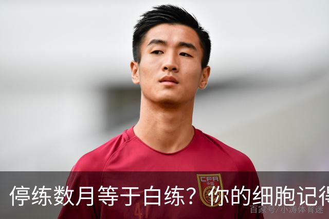 停练数月等于白练？你的细胞记得每一次流汗