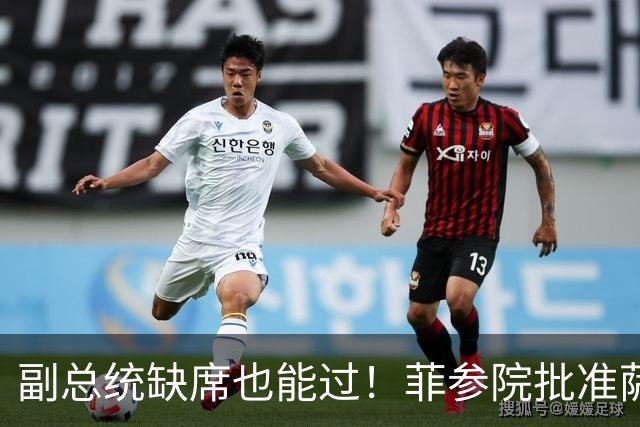 副总统缺席也能过！菲参院批准萨拉 7.852 亿预算：全是政坛面子