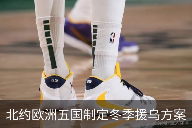 北约欧洲五国制定冬季援乌方案