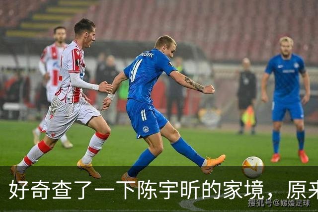 好奇查了一下陈宇昕的家境，原来他从小就在国外留学是有原因的