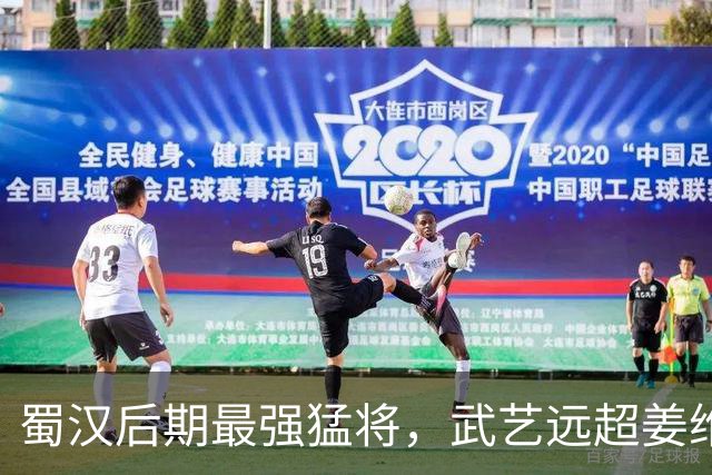 蜀汉后期最强猛将，武艺远超姜维与邓艾，不是魏延，却临阵战死