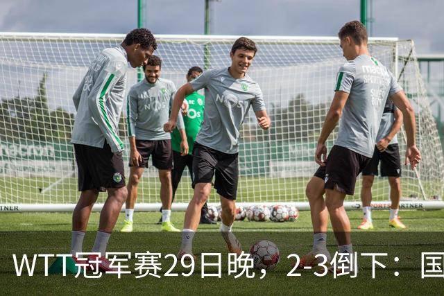 WTT冠军赛29日晚，2-3倒下：国乒第2败！首输外战，国乒3人进男单16强